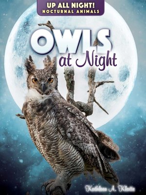 cover image of Owls at Night